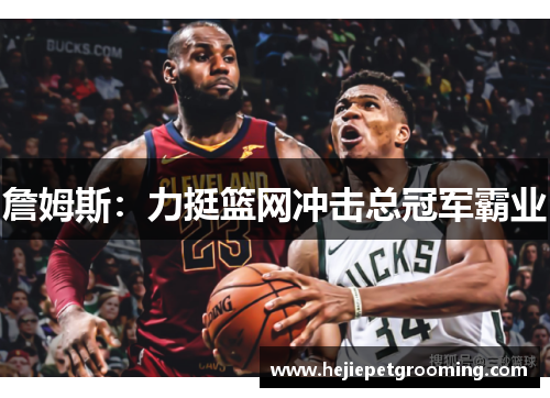 詹姆斯：力挺篮网冲击总冠军霸业