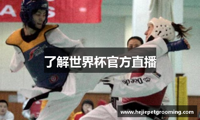了解世界杯官方直播